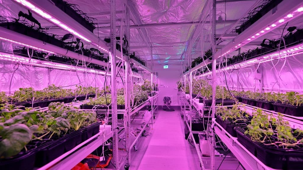 Perspectives et innovations futures